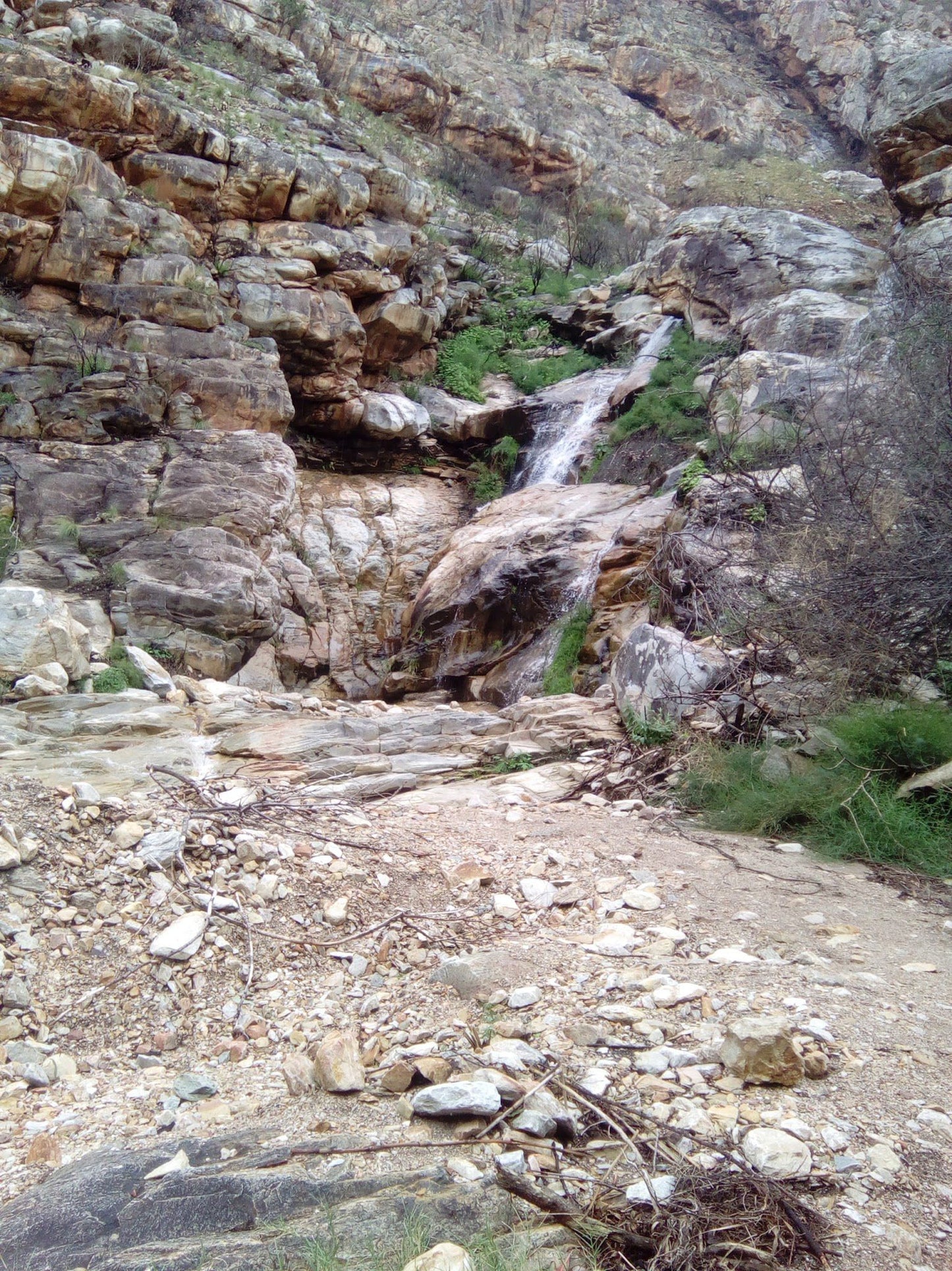 Swartberg