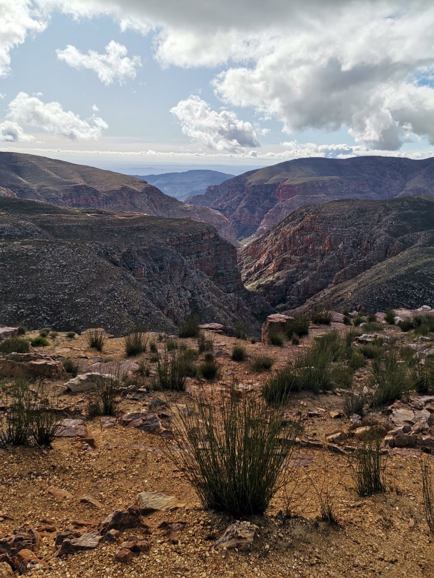 Swartberg