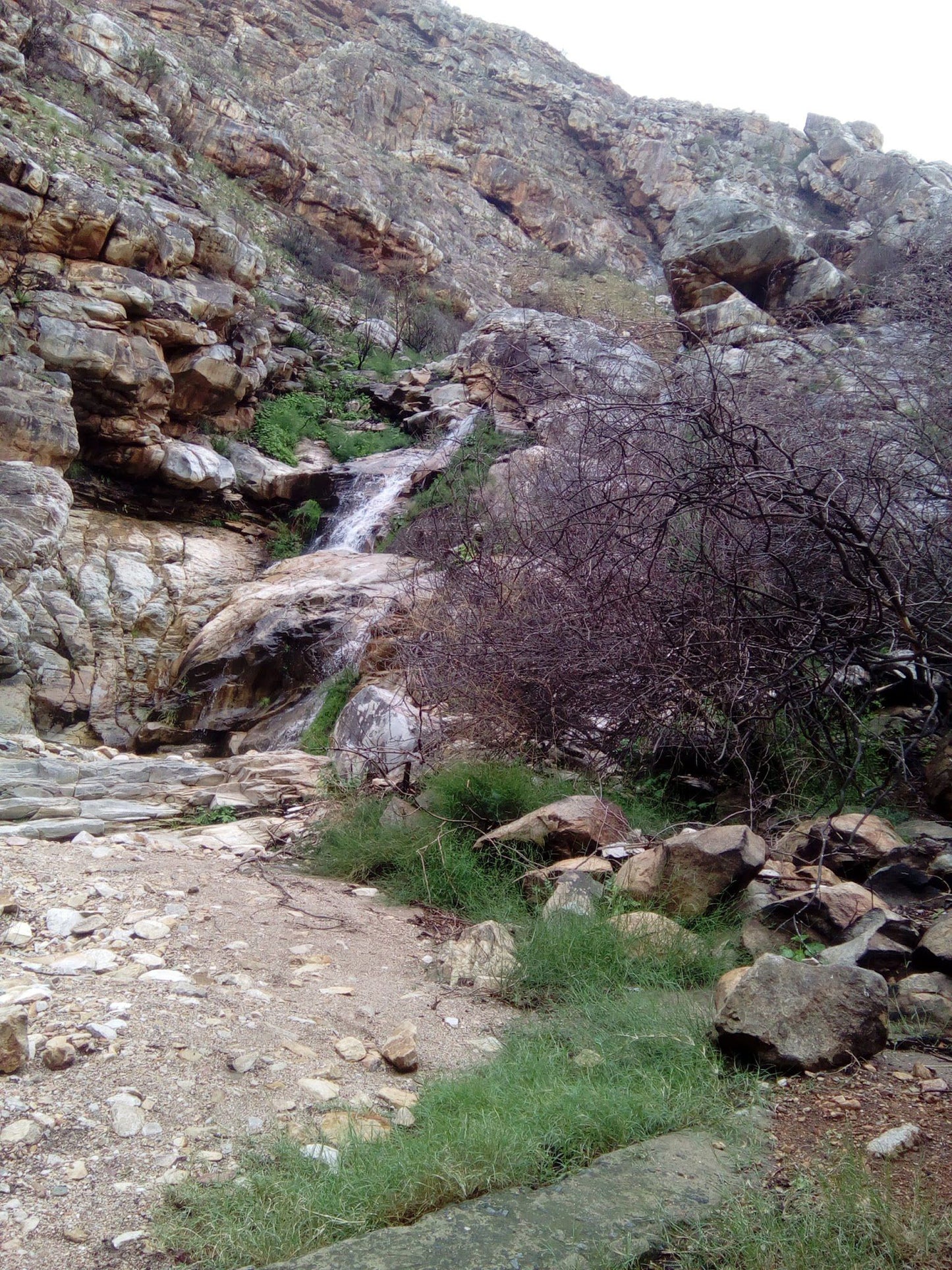 Swartberg