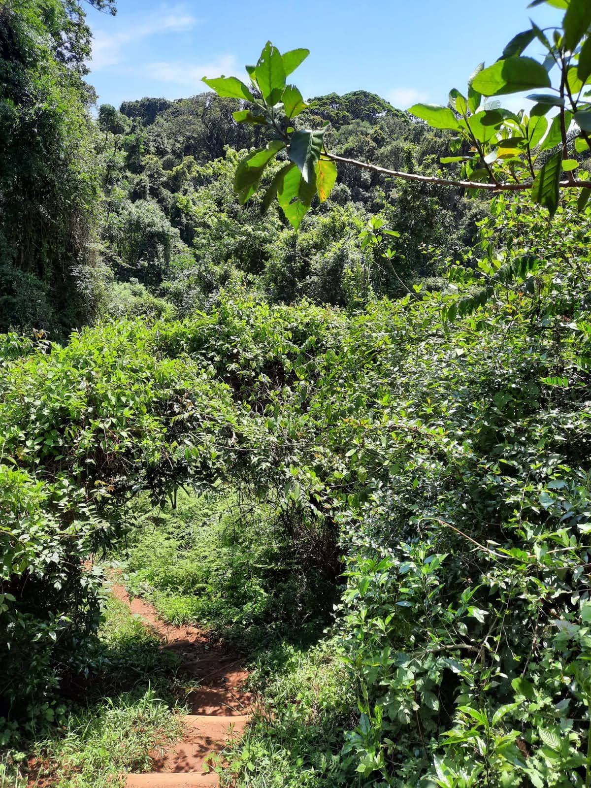 Swartbos Hiking Trail