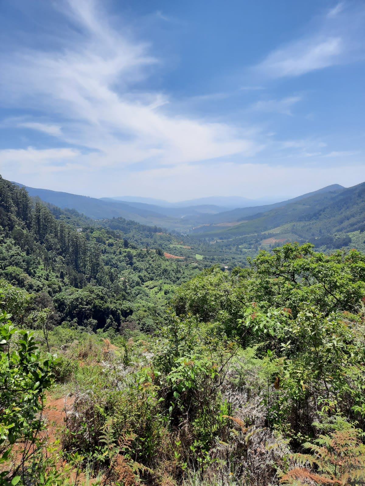 Swartbos Hiking Trail