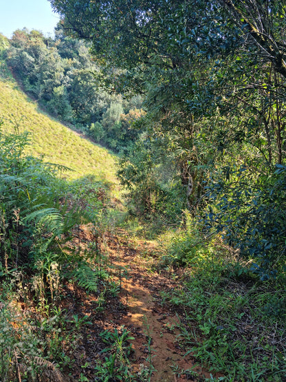 Swartbos Hiking Trail