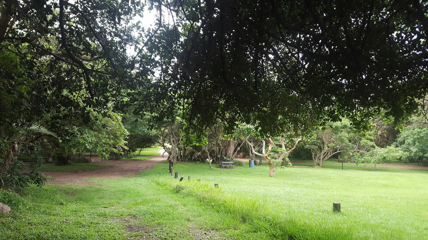  T.C. Robertson Nature Reserve