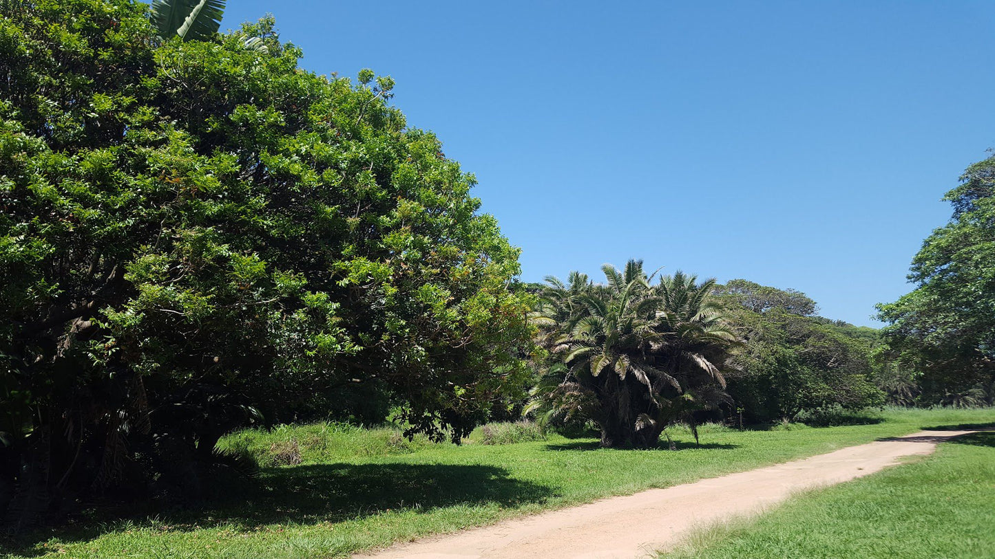  T.C. Robertson Nature Reserve