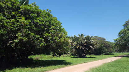  T.C. Robertson Nature Reserve