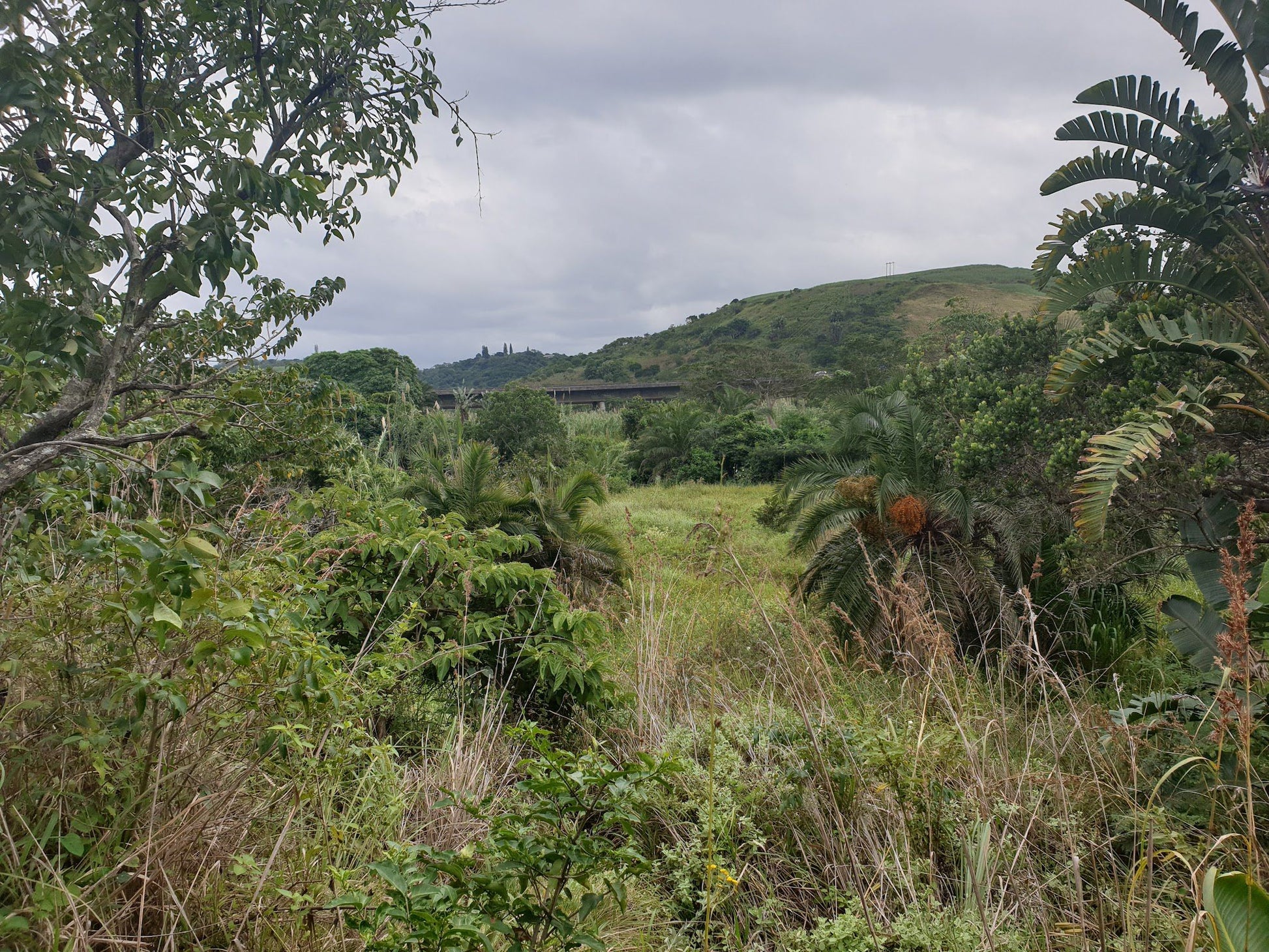  T.C. Robertson Nature Reserve