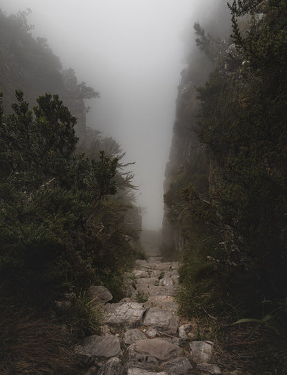 TABLE MOUNTAIN | Platteklip Gorge | India Venster | Skeleton Gorge | Kasteelspoort Hike