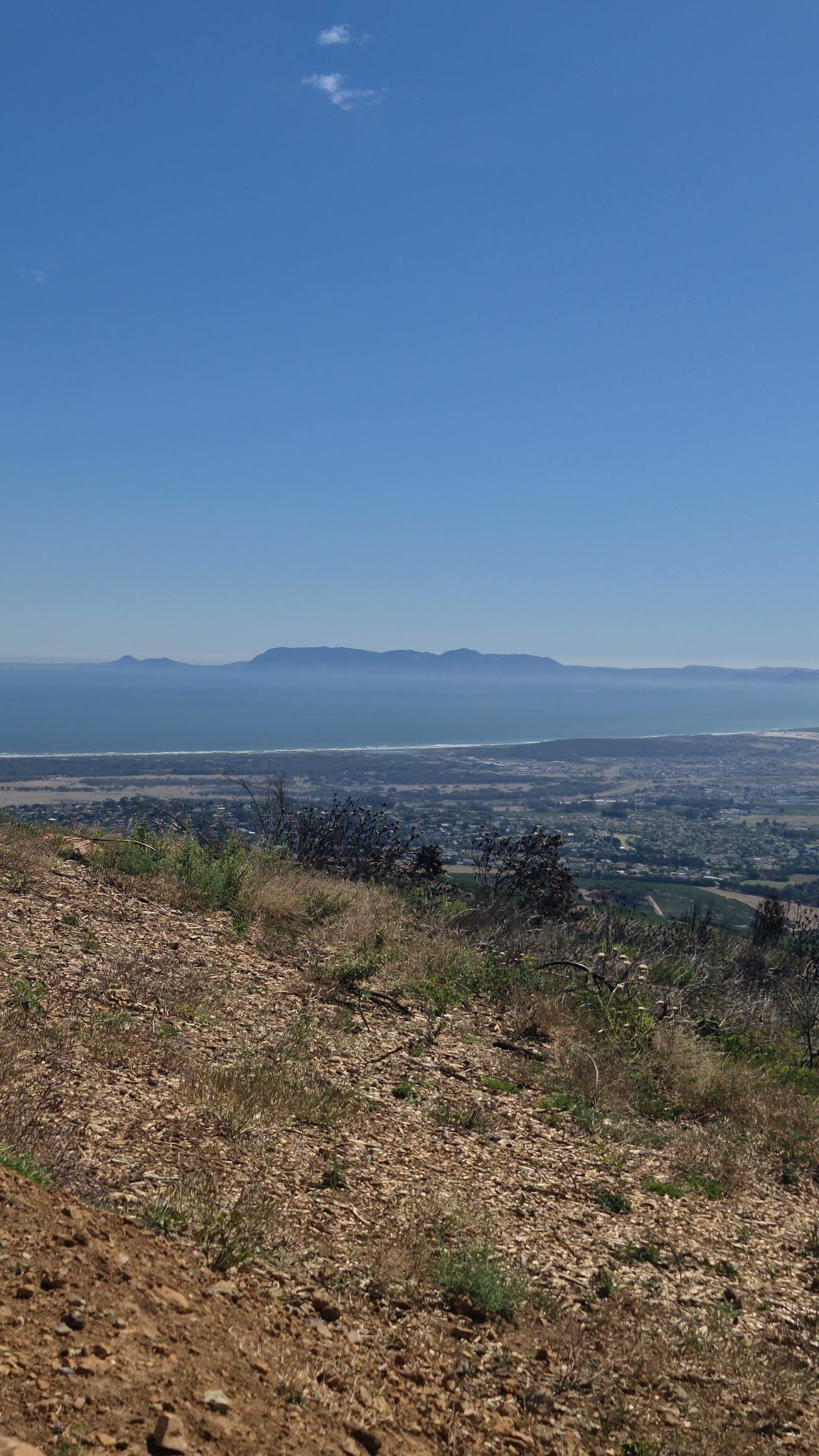  Taaibosch Wine Estate