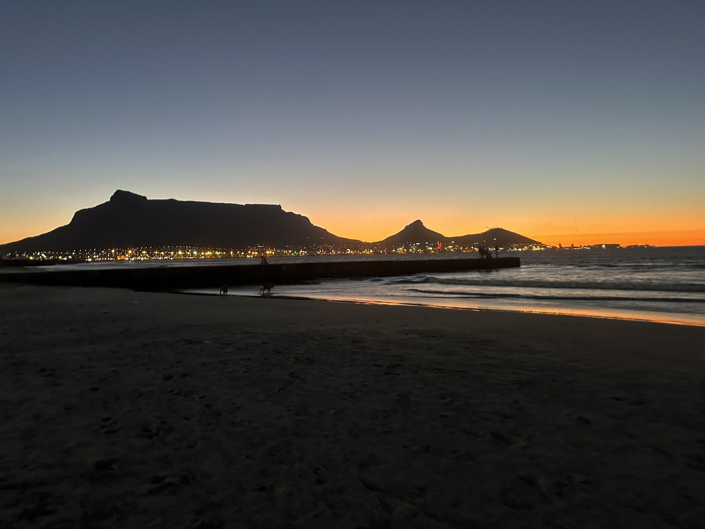  Table Bay Nature Reserve - Milnerton Lagoon