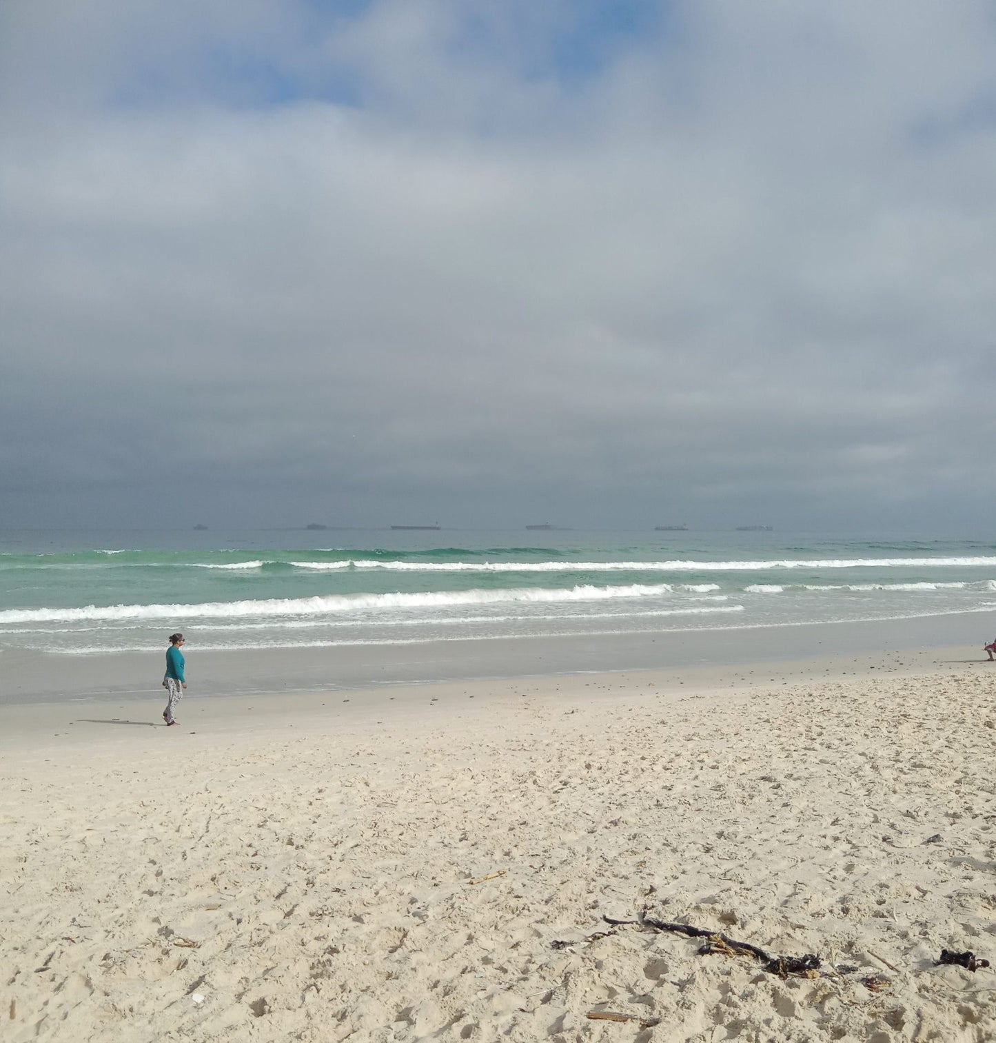  Table Bay Nature Reserve - Milnerton Lagoon