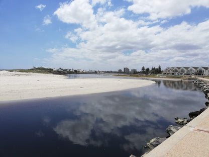  Table Bay Nature Reserve - Milnerton Lagoon