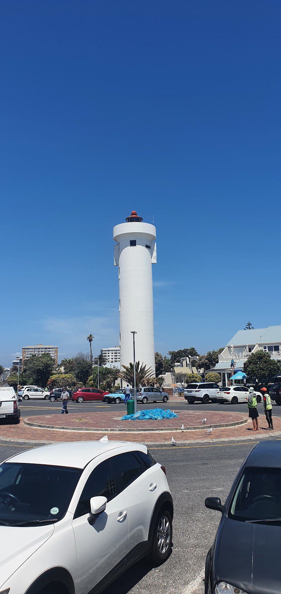  Table Bay Nature Reserve - Milnerton Lagoon