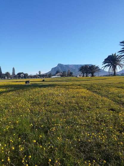  Table Bay Nature Reserve - Milnerton Lagoon