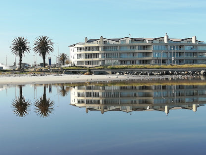  Table Bay Nature Reserve - Milnerton Lagoon