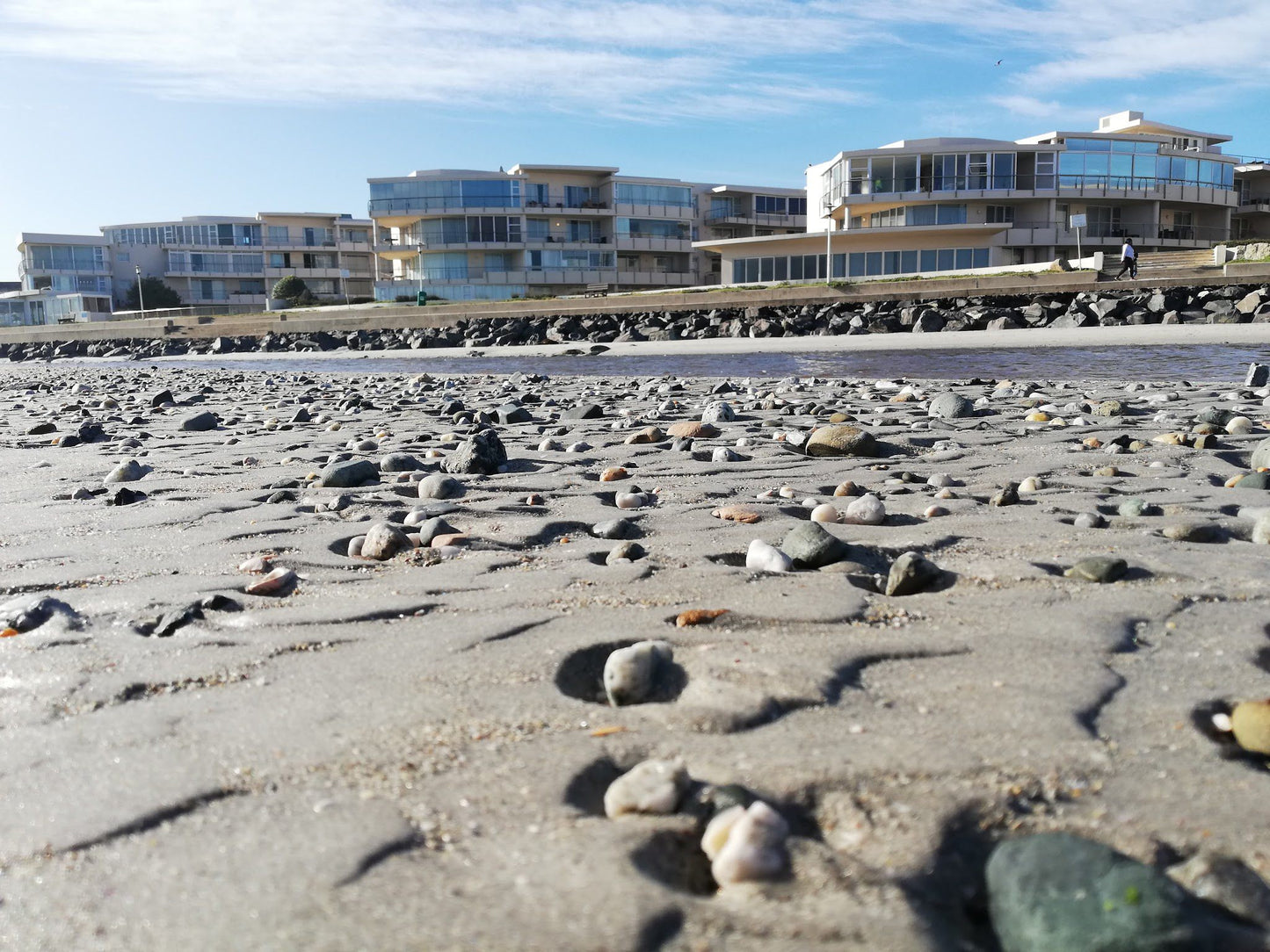  Table Bay Nature Reserve - Milnerton Lagoon