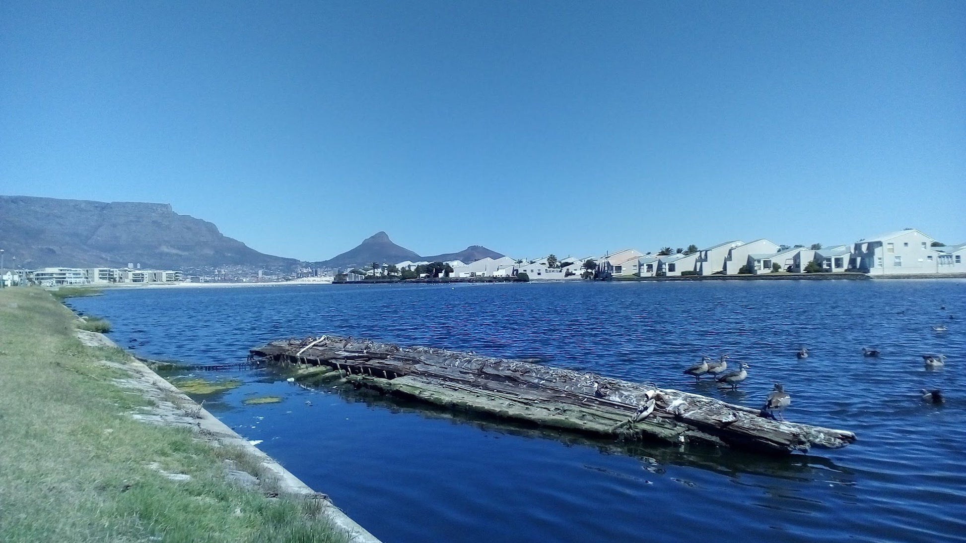  Table Bay Nature Reserve - Milnerton Lagoon