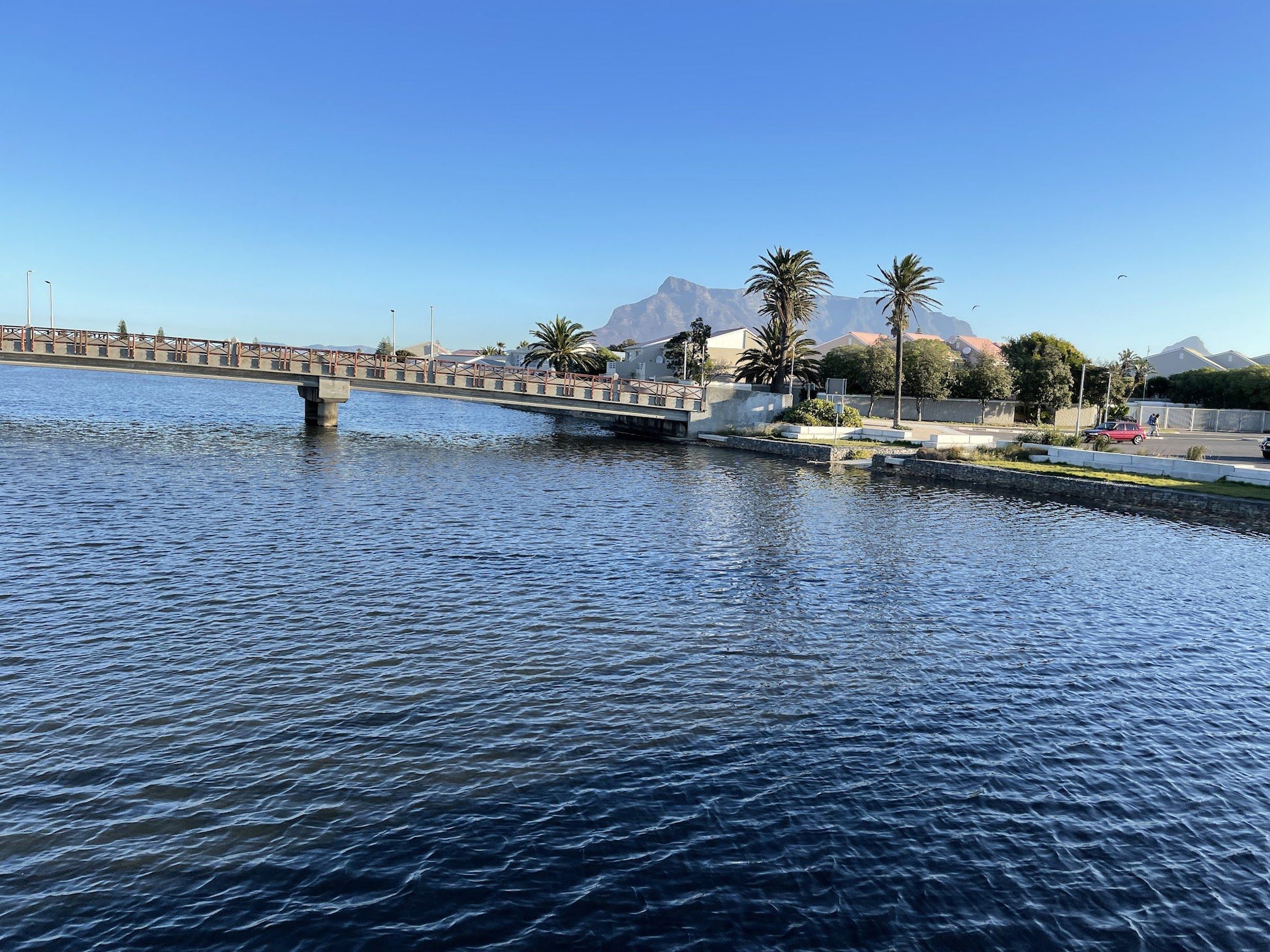  Table Bay Nature Reserve - Milnerton Lagoon