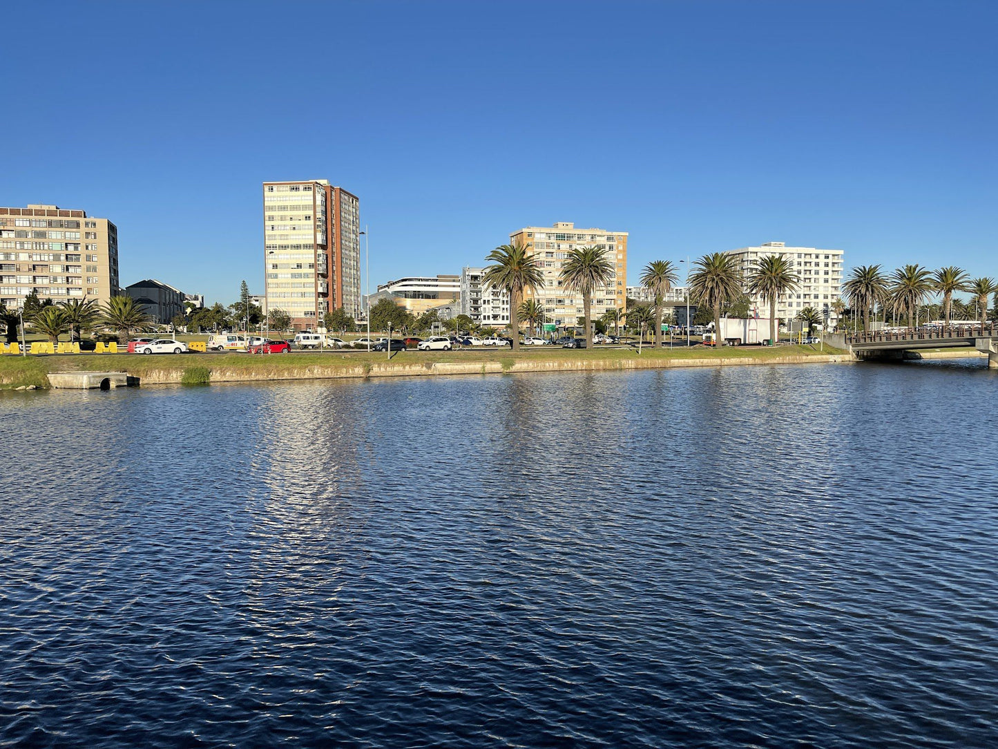  Table Bay Nature Reserve - Milnerton Lagoon