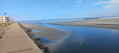  Table Bay Nature Reserve - Milnerton Lagoon