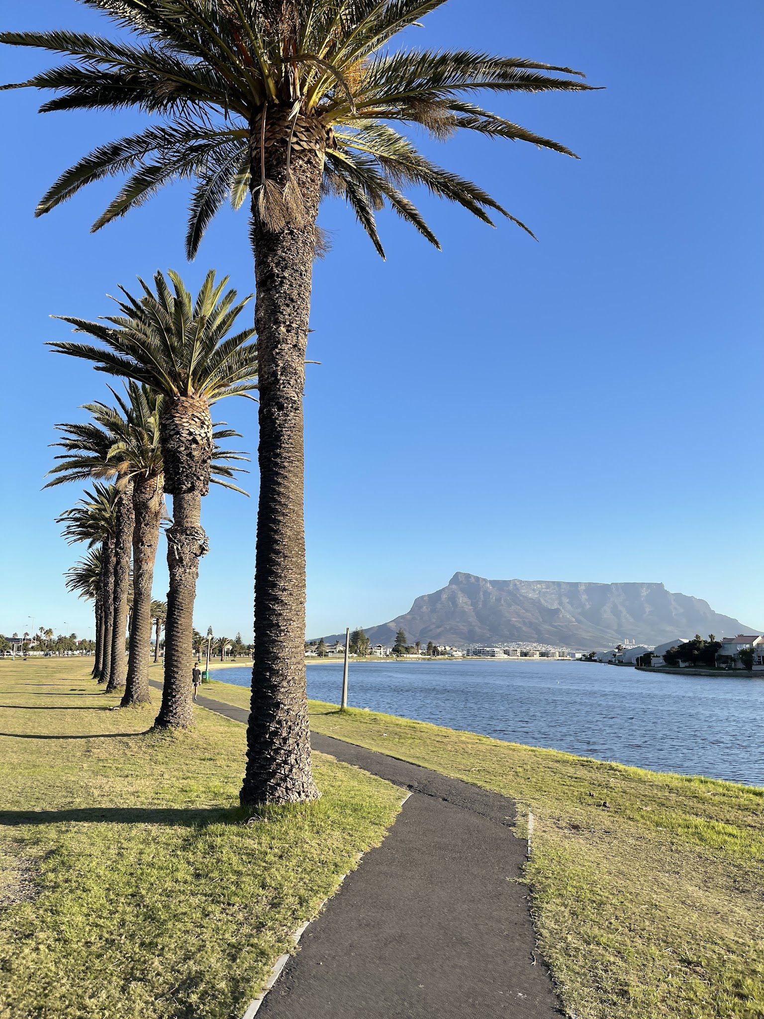  Table Bay Nature Reserve - Milnerton Lagoon