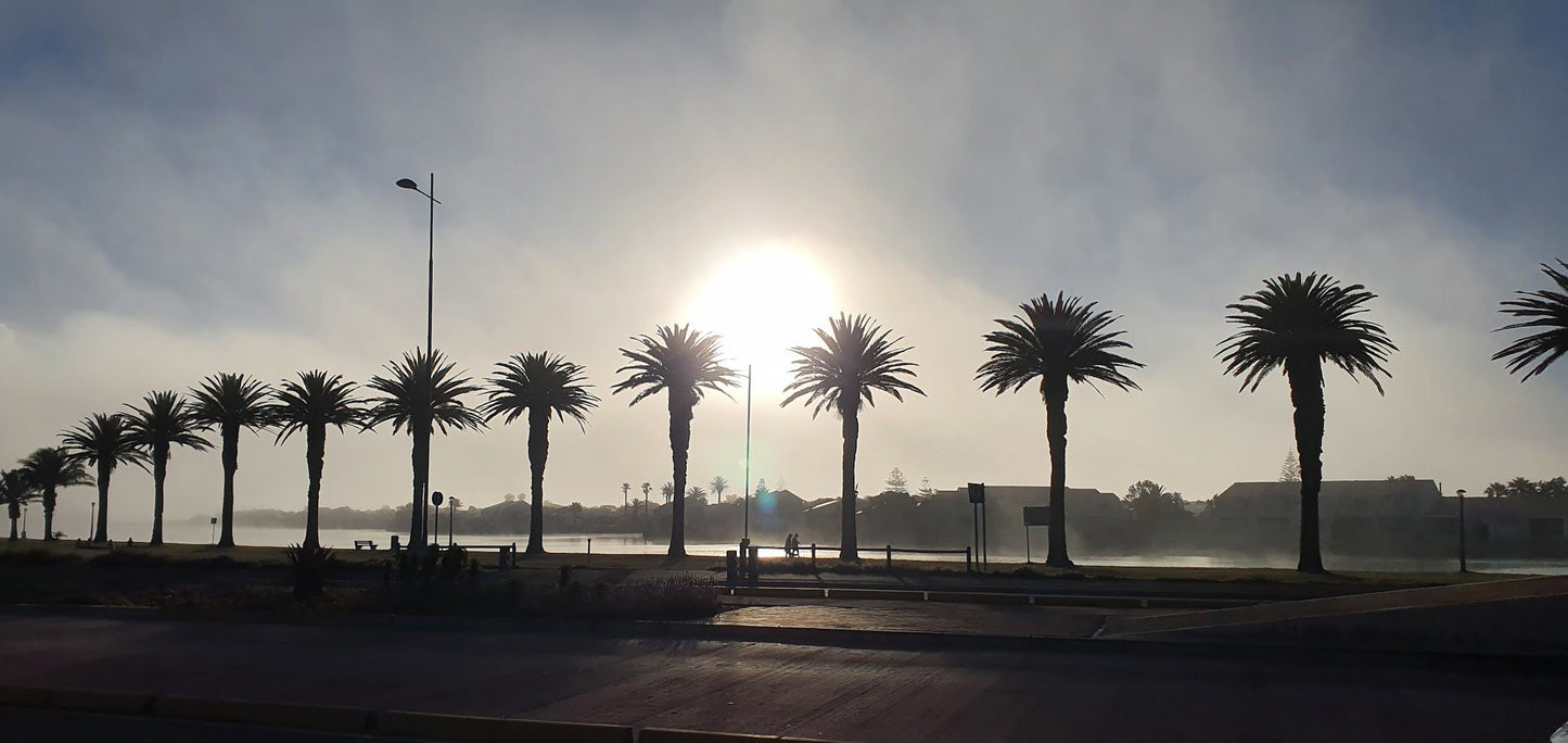  Table Bay Nature Reserve - Milnerton Lagoon