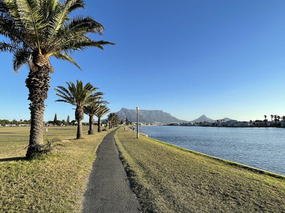  Table Bay Nature Reserve - Milnerton Lagoon