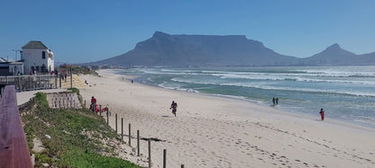  Table Bay Nature Reserve - Milnerton Lagoon