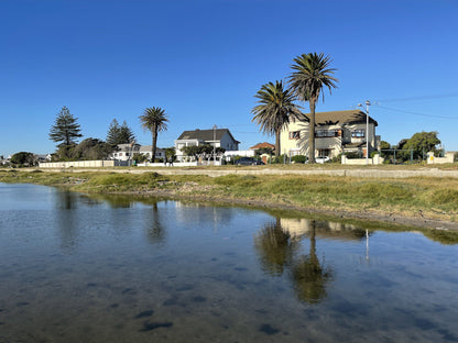  Table Bay Nature Reserve - Milnerton Lagoon