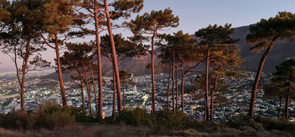  Table Bay Nature Reserve