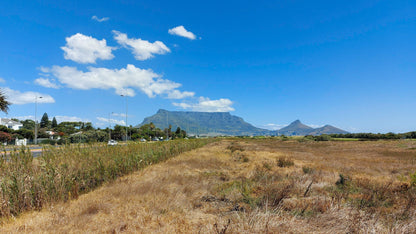  Table Bay Nature Reserve