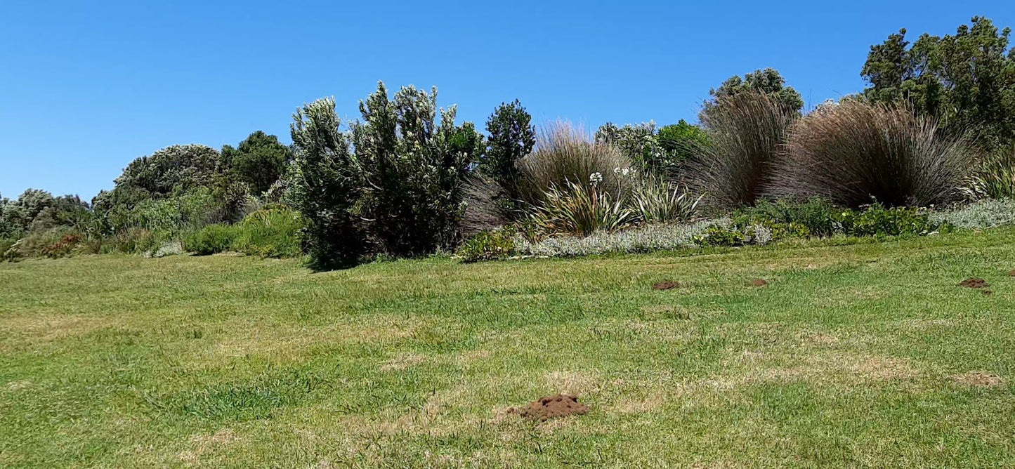  Table Mountain National Park