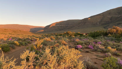  Tankwa Karoo National Park