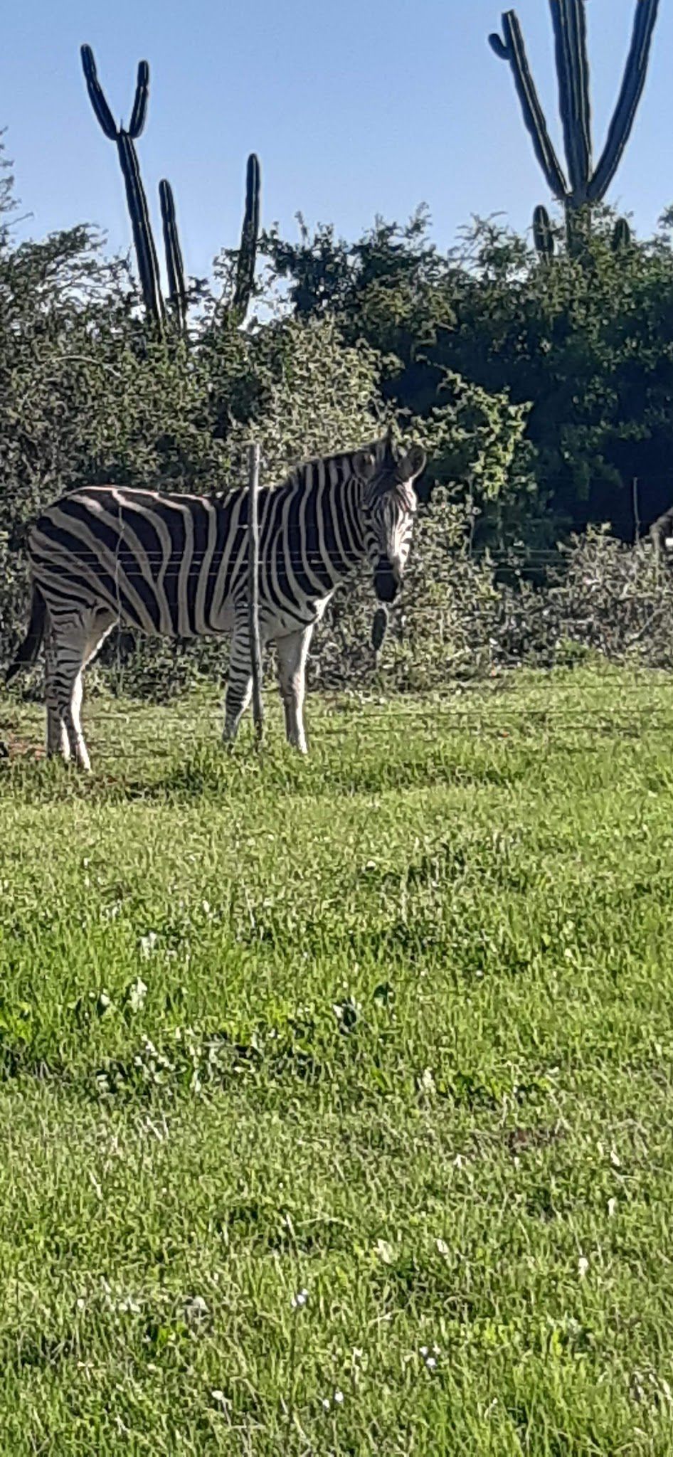  Temba Private Game Reserve