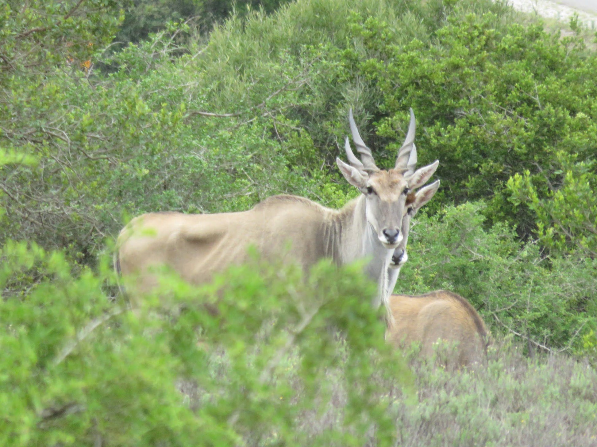  Temba Private Game Reserve