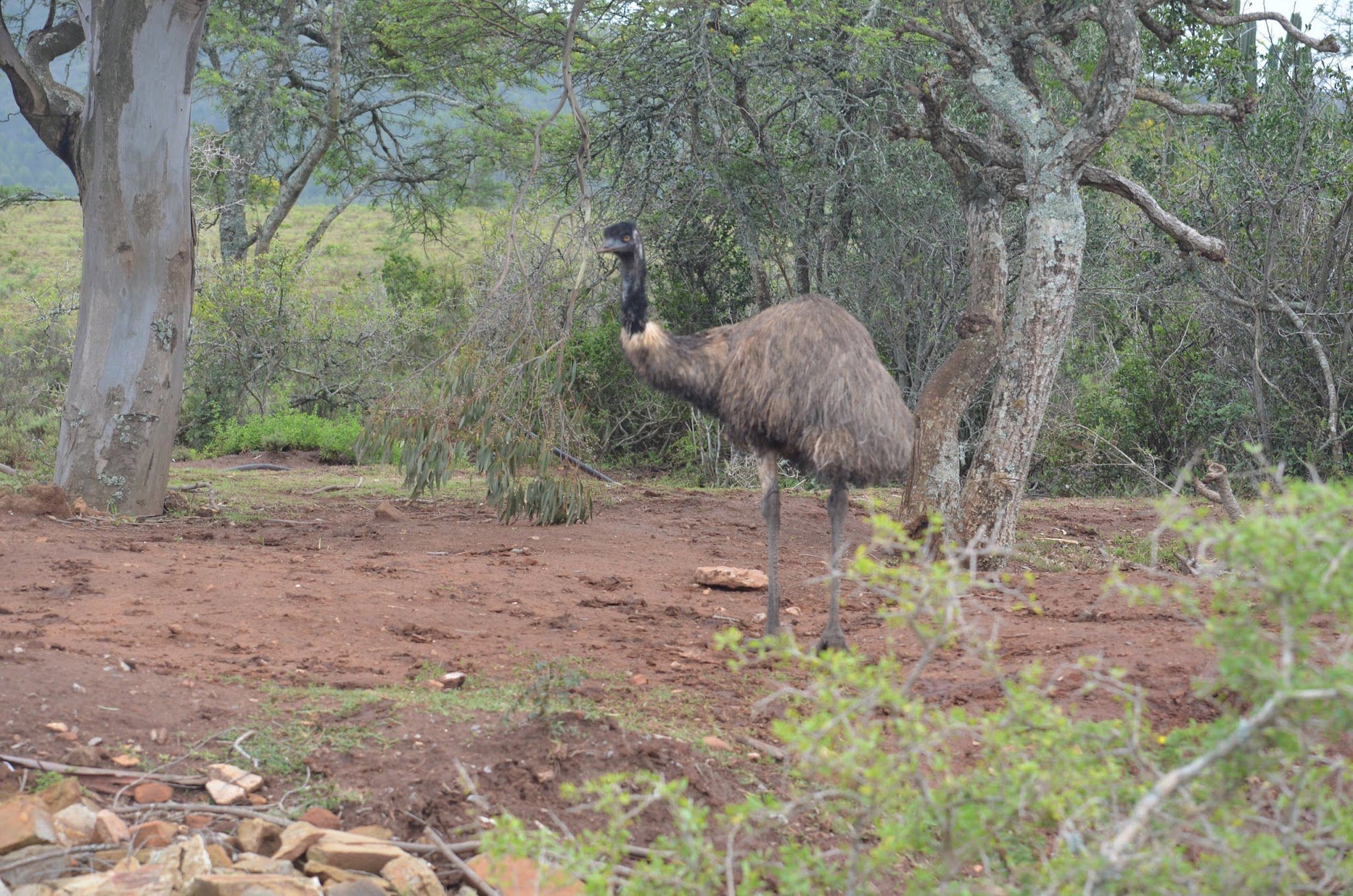  Temba Private Game Reserve