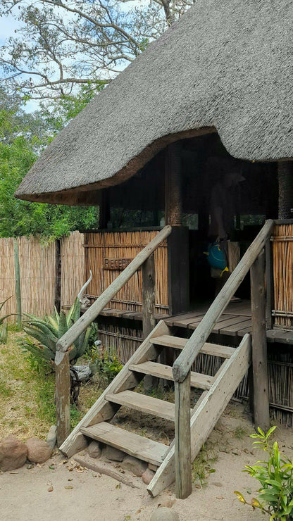  Tembe Elephant Park