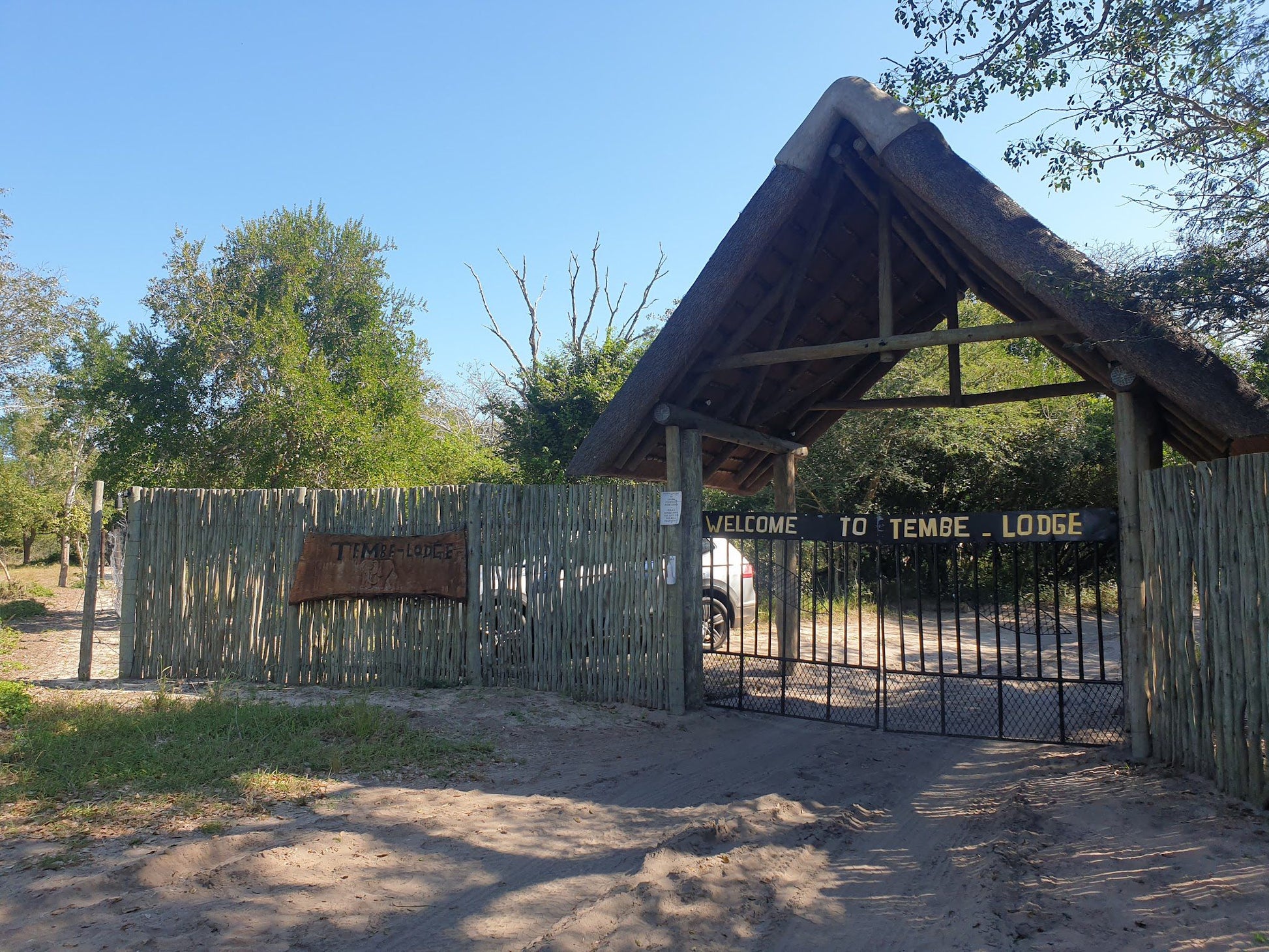  Tembe Elephant Park