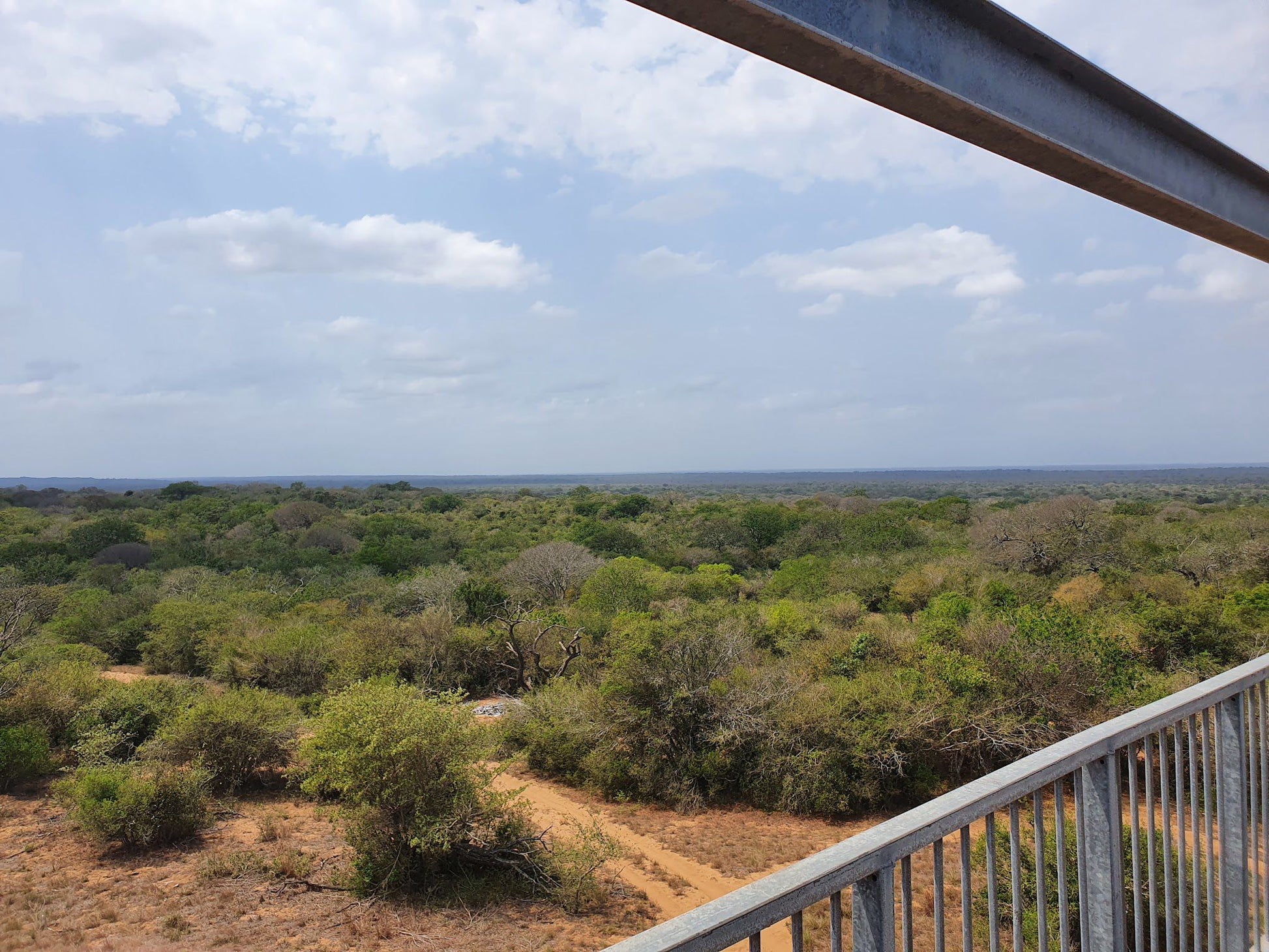  Tembe Elephant Park