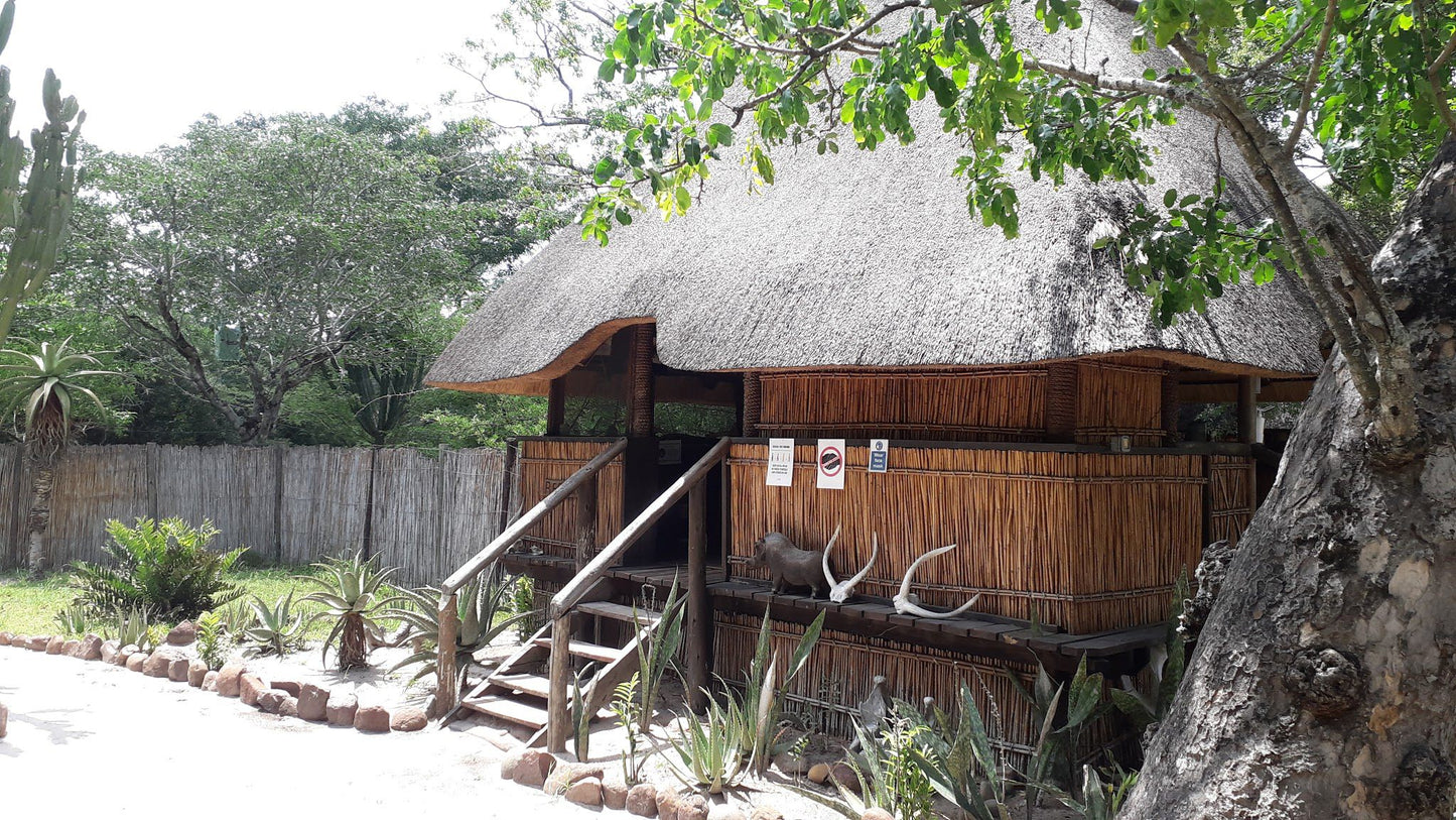  Tembe Elephant Park