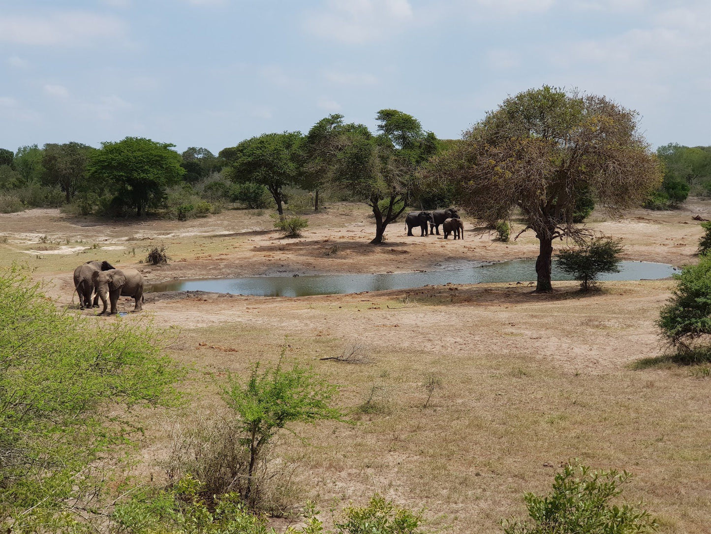  Tembe Elephant Park