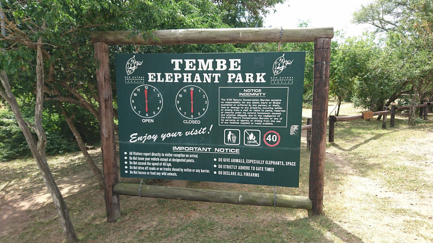  Tembe Elephant Park