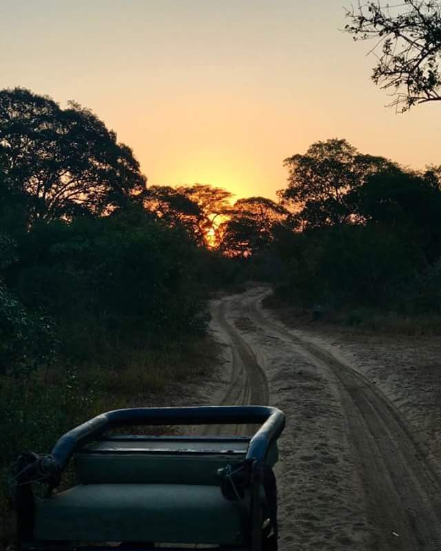  Tembe Elephant Park