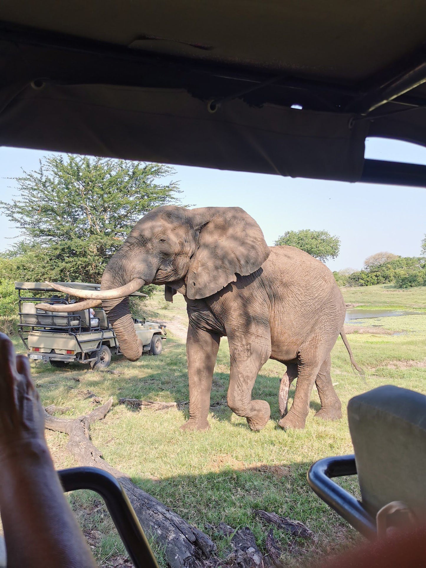  Tembe Elephant Park