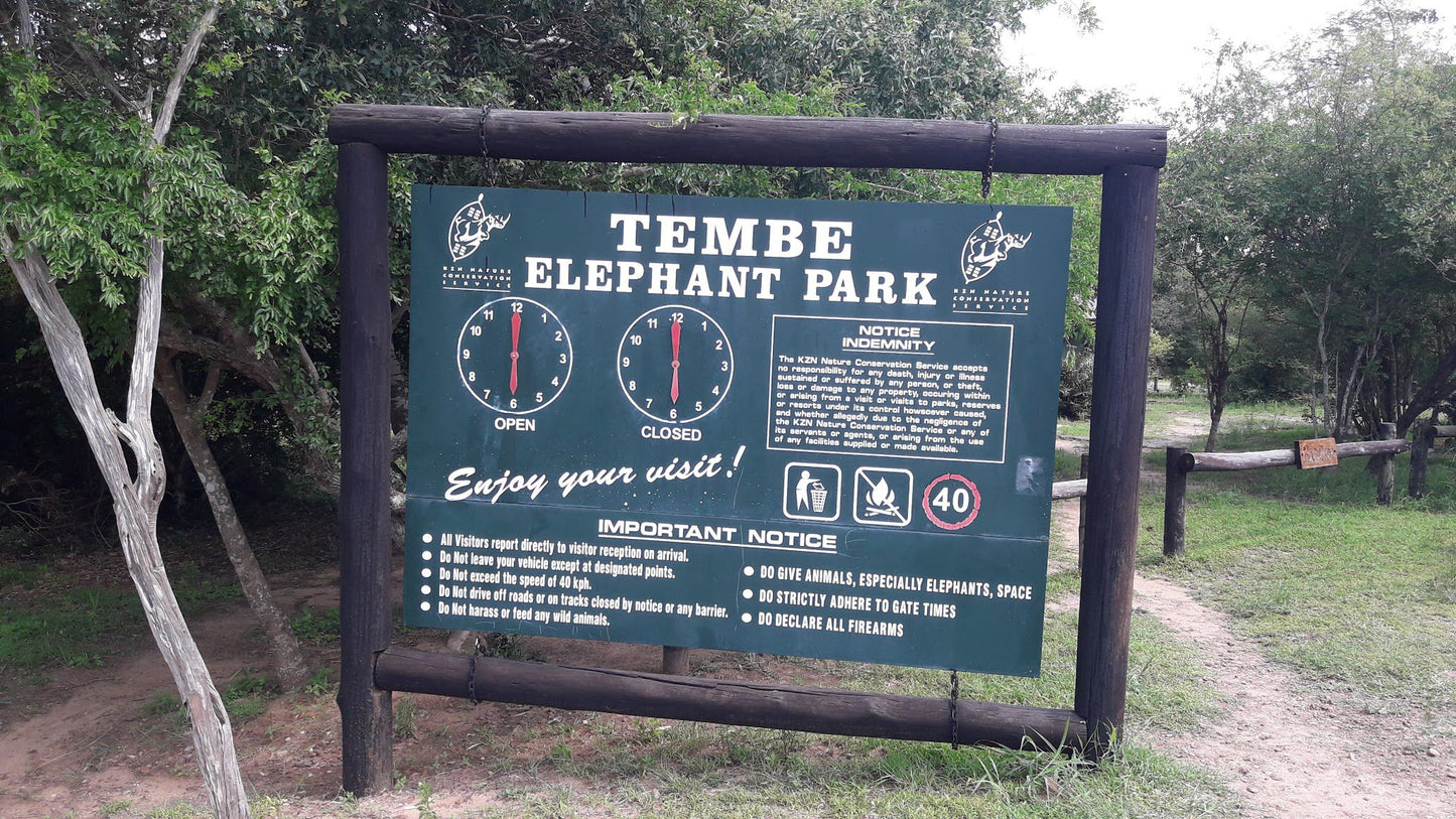  Tembe Elephant Park