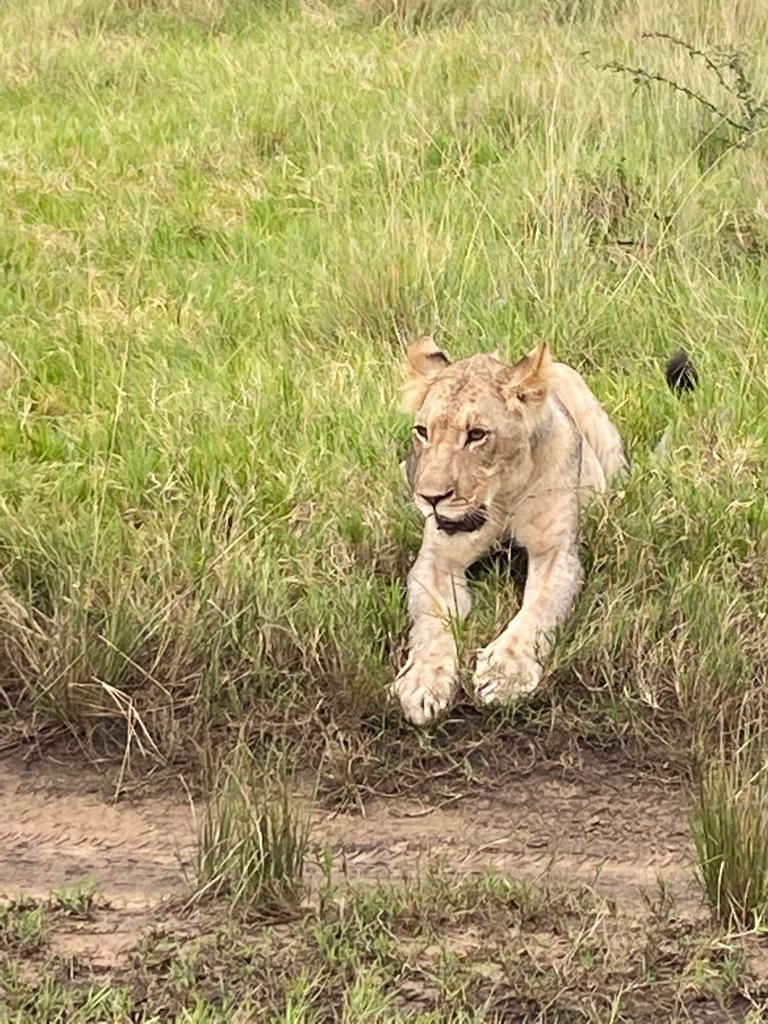  Tembe Elephant Park