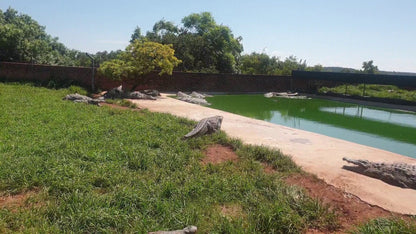  Thaba Kwena Crocodile Farm