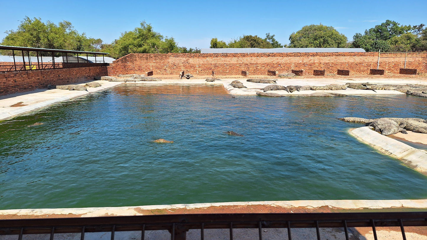  Thaba Kwena Crocodile Farm