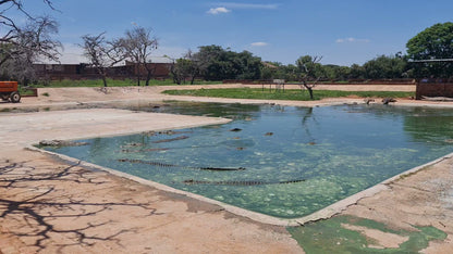  Thaba Kwena Crocodile Farm