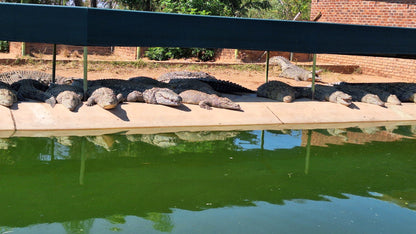  Thaba Kwena Crocodile Farm