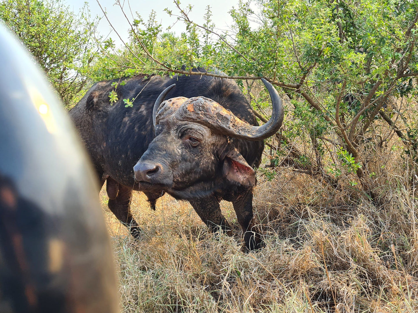  Thanda Safari - Private Game Reserve